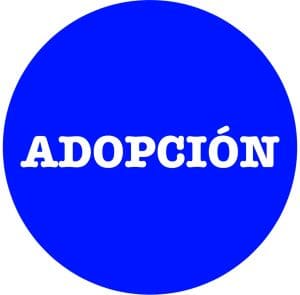 Adopción